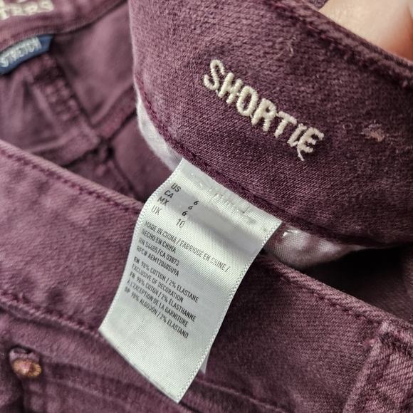 American Eagle Outfitters Maroon Wine Distressed Shortie Shorts 6 - Picture 4 of 5